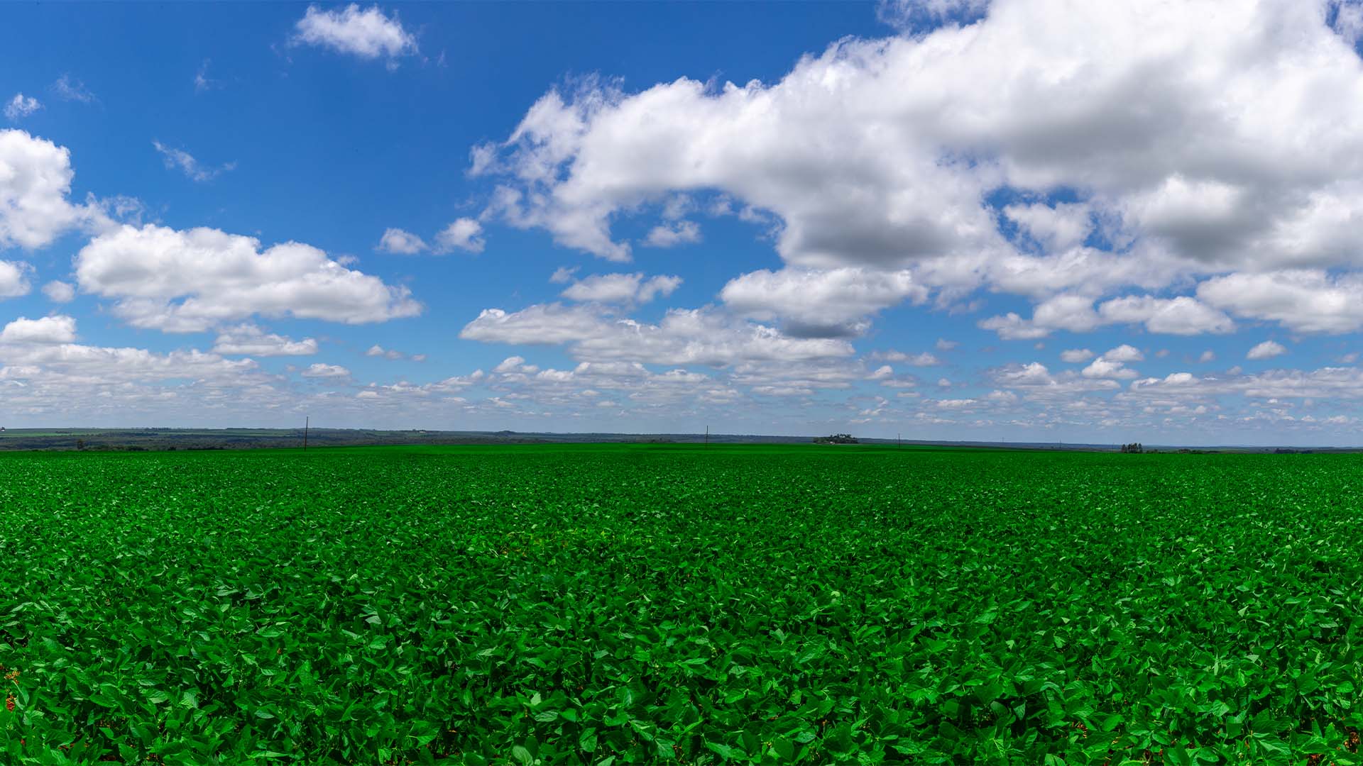 Why Paraguay’s Chaco Has Become the New Frontier for Brazilian Farmers - The AgriBiz