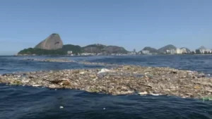 Brasil: denunciam empresas navais por poluição e operações clandestinas na Baía de Guanabara